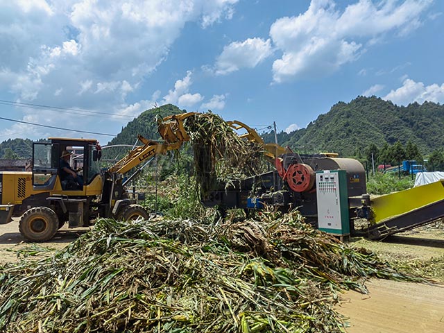 秸稈青貯粉碎機(jī)粉碎后的青貯適合多種養(yǎng)殖場(chǎng)使用